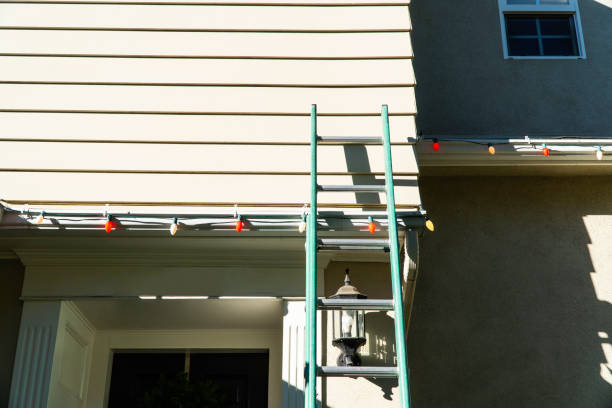 Best Historical Building Siding Restoration  in Monticello, IL