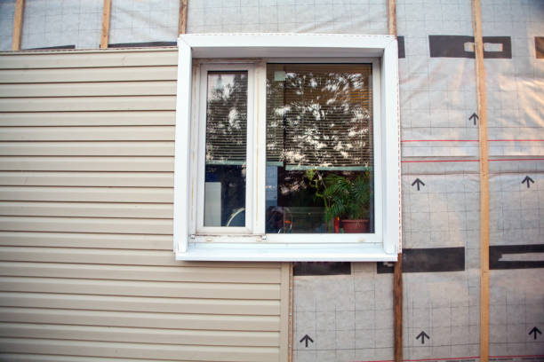 Best Custom Trim and Detailing for Siding  in Monticello, IL